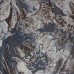 ковер Calypso 1,20*1,70 4354a7 cl